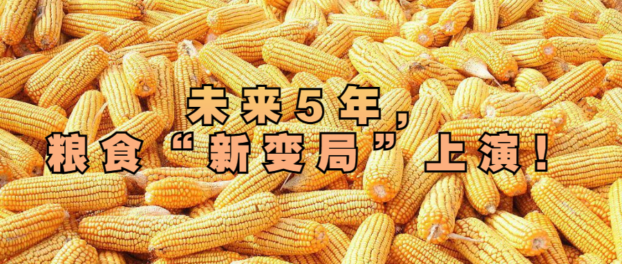 未來(lái)5年，糧食“新變局”上演！